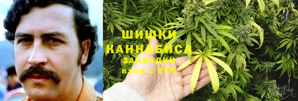дмт Медногорск