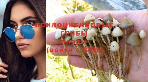 дмт Медногорск