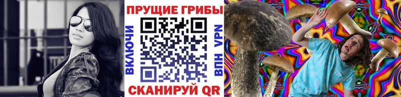 kraken вход  Екатеринбург  Галлюциногенные грибы прущие грибы  цена наркотик 